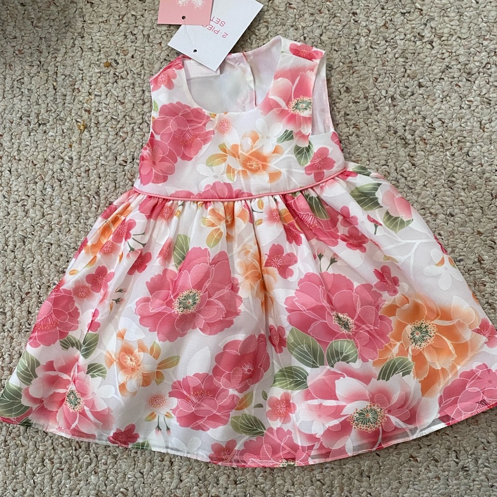 Petite Frais 9 month floral dress